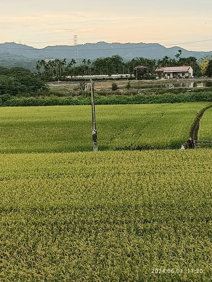 六月呀！山城綠