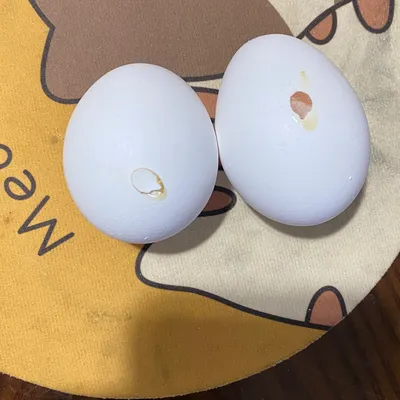 姆士哥（James Hung)的沙龍