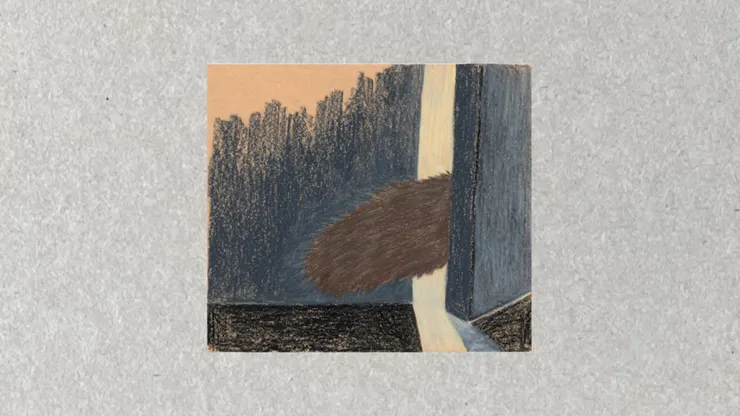 《狸貓的故事》插畫：XINs