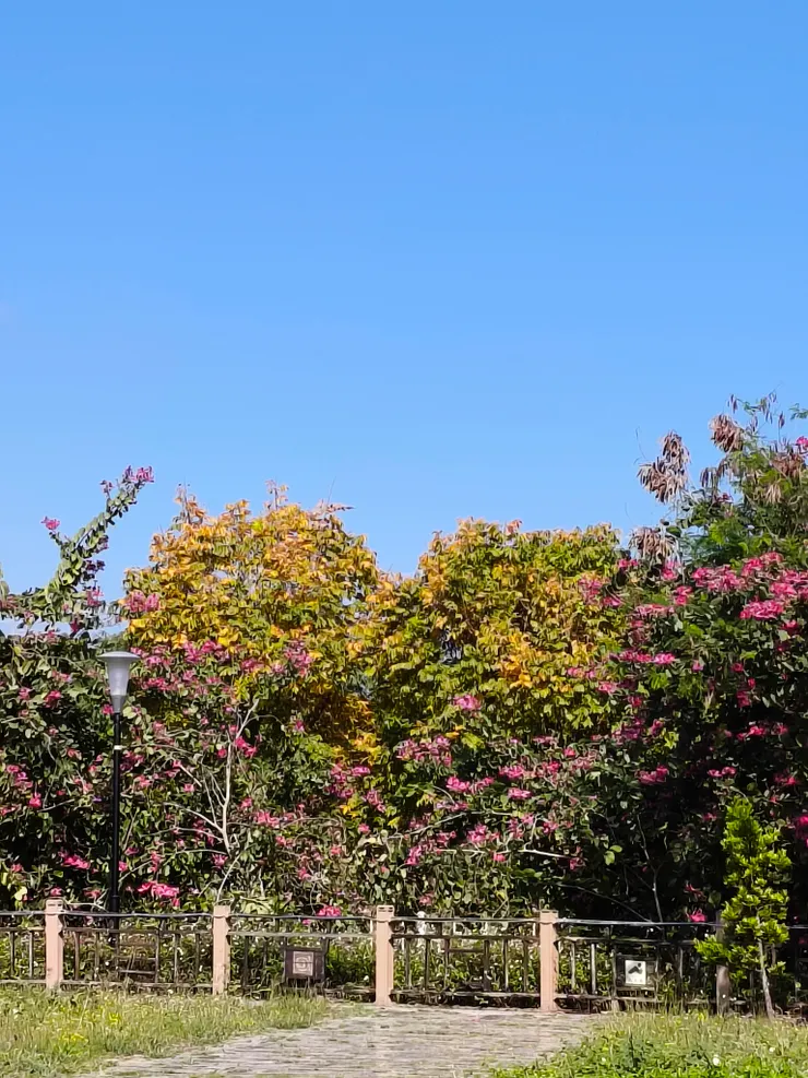 這個是自然形成的，除非剛好遇到光線顯示，不然我蹲點好幾年，沒有拍過這種照片…
