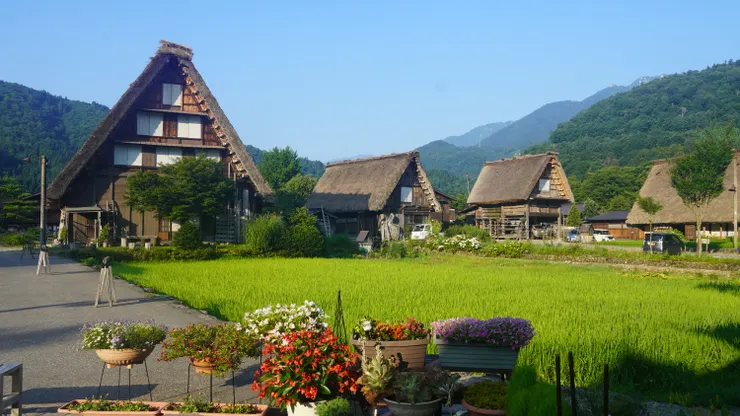 夏日的合掌村仍舊很美
