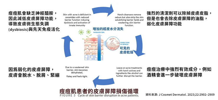 痘痘的起因曝光