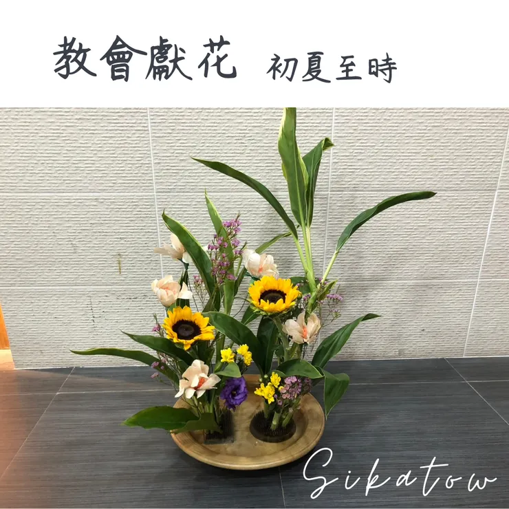 濾紙花|Sikatow手折花
