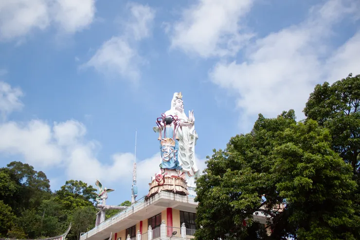 抬頭看可見潔白的觀音