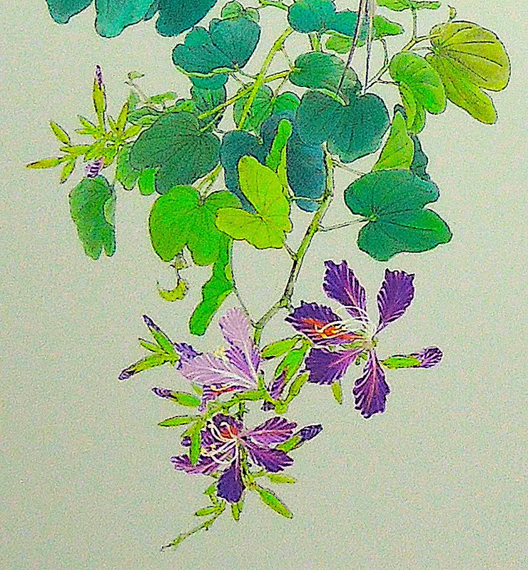 〈紫荊花開〉局部－紫荊