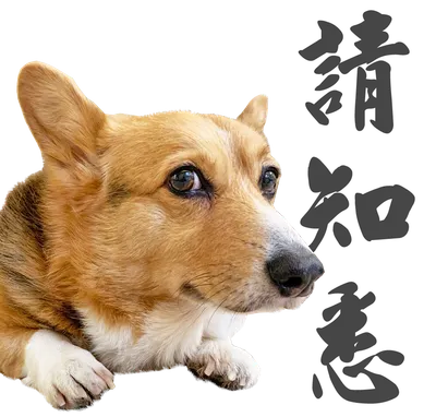 胖胖與阿忌的沙龍