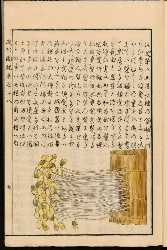『成形図説』(1804)