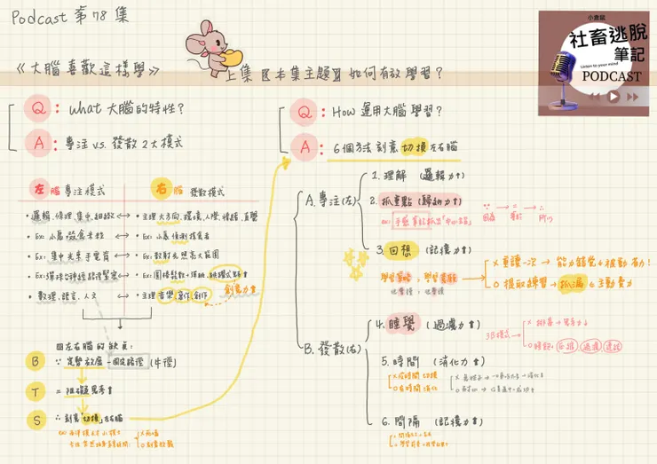 大腦喜歡這樣學