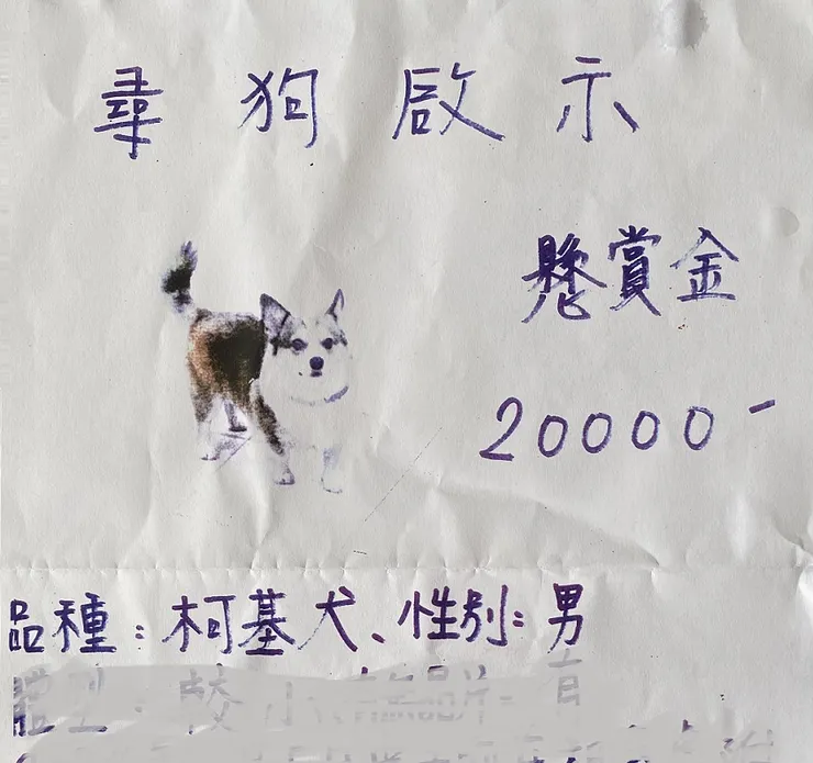 圖1  ([陳傳義]拍攝)