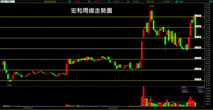 宏和(1446)周線走勢圖