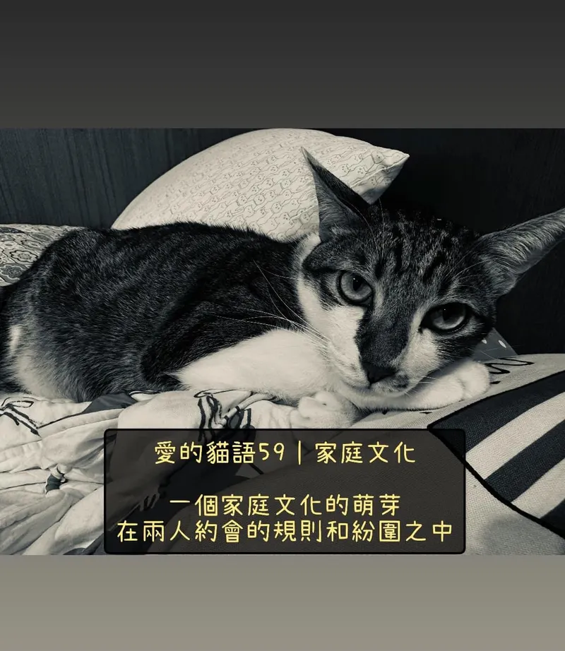 src