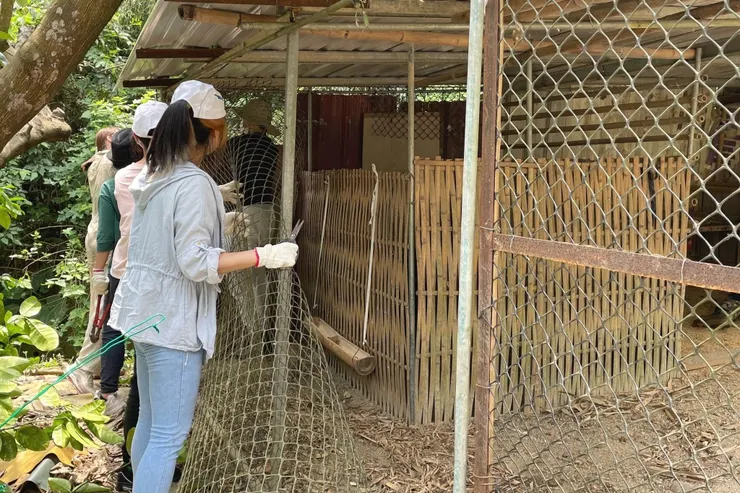 圖說：貪貪團隊2024年親赴淺山熱點，以金屬圍網改善雞舍，建立物理性防護，減少石虎誤入機會，緩解農民與野生動物間的利益矛盾。（資料來源：貪貪Munchee）