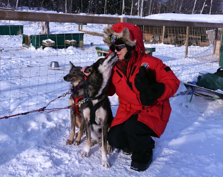 雪橇犬跟水秀又親又舔