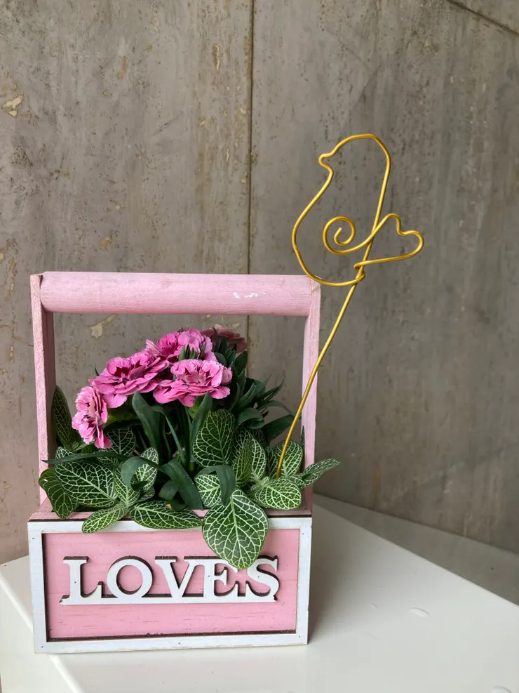 溫馨又可愛的植栽手作完成囉！