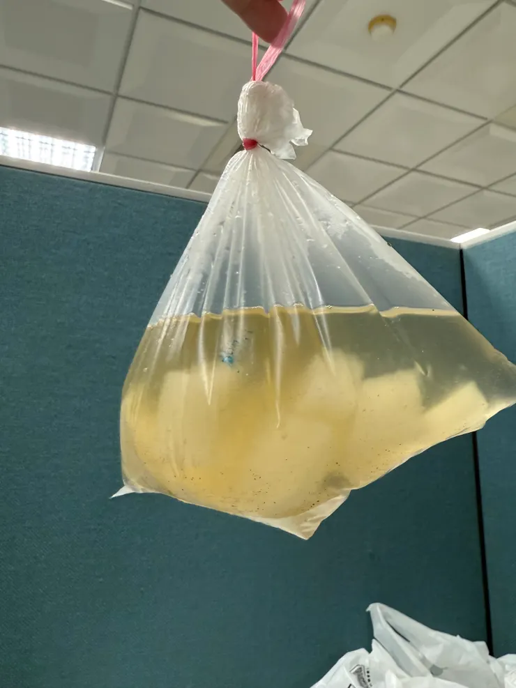 2026/01/14 老闆給的熱湯，今天胡椒加太多，好辣