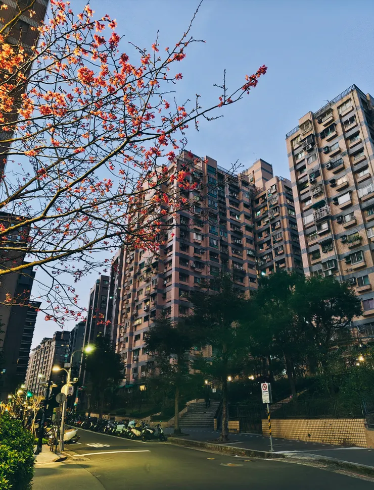 「不必瞬間綻放，只需恆久微光。」 