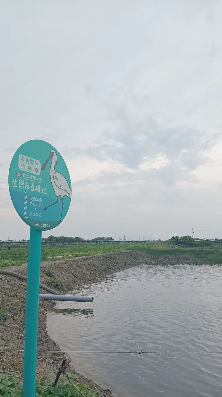 依循台江國家公園建議,友善黑面琵鷺的養殖方式。