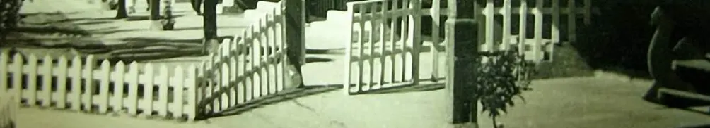 生命之間的種種