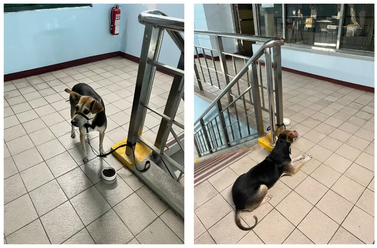 停車場出入口吃飯、趴下