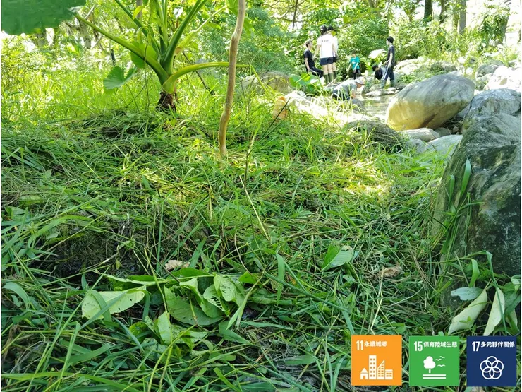 將移除的植體鋪覆在原本受日曬的裸地區域內,減少陸域土地的劣化狀況