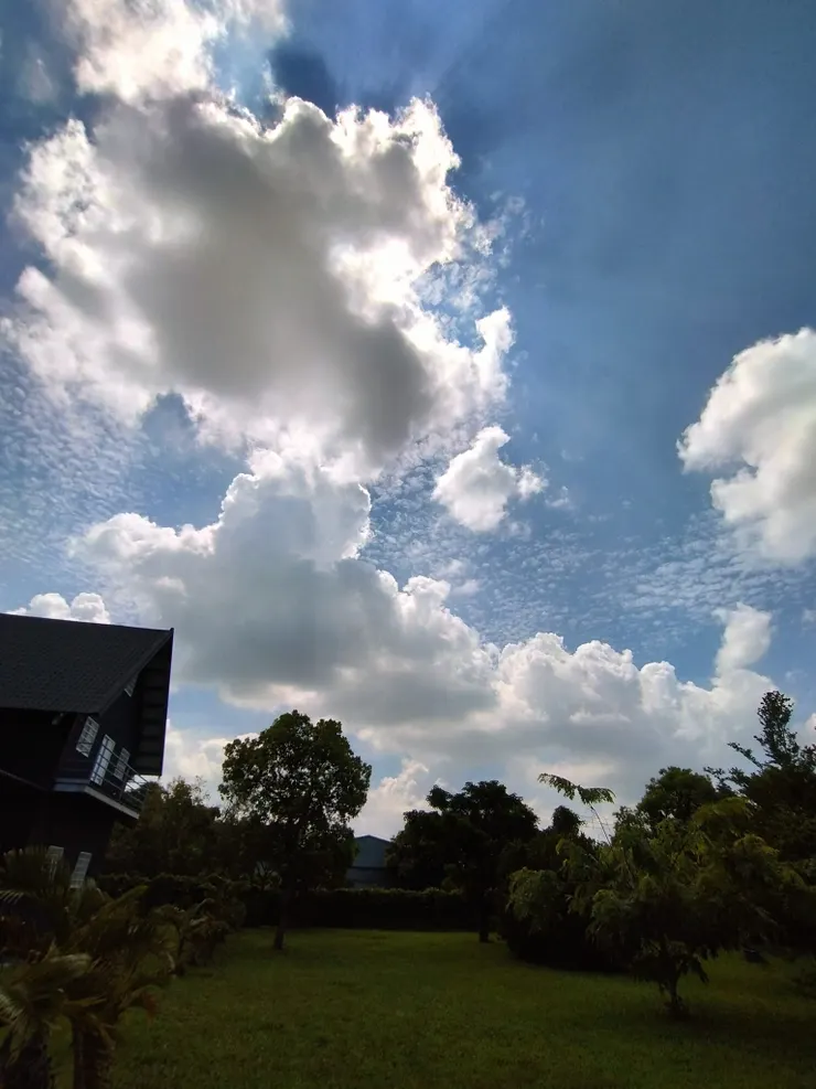 圖片引自Sing Kao臉書