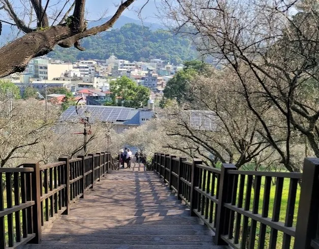 梅山公園的梅花景象(擷取自google地圖)