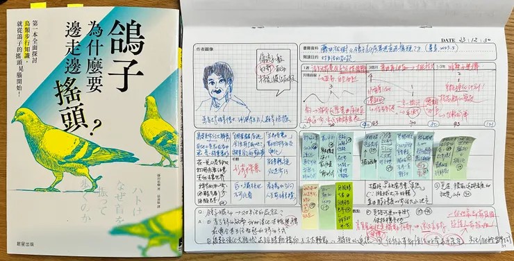 《鴿子為什麼要邊走邊搖頭？》共鳴筆記表