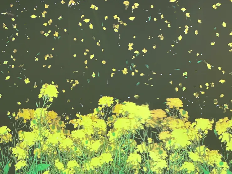 來源：自己拍攝