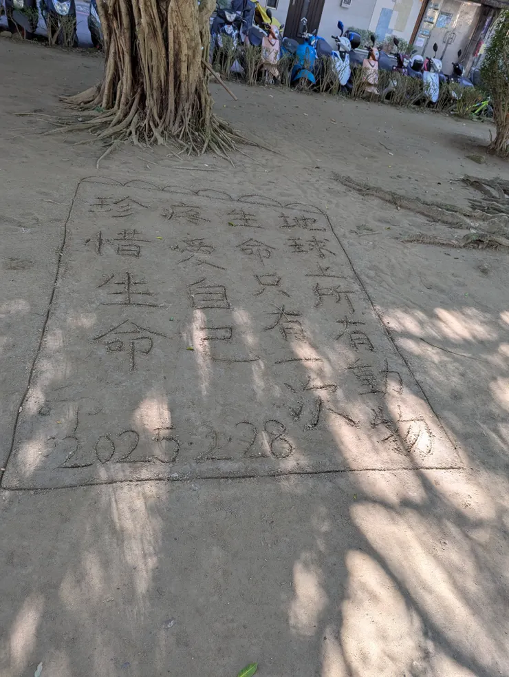 公園裡，一點微光