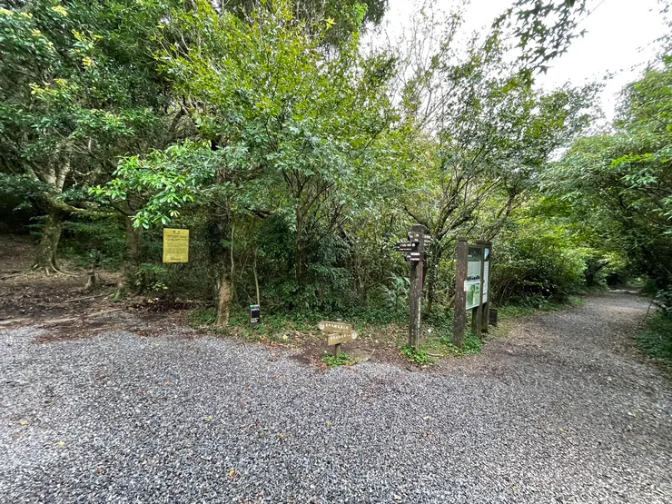 從這裡開始,就是大縱走第一斷根第二段的分歧點。