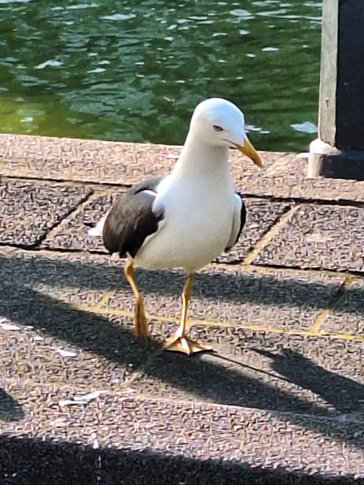 不怕人，在在你前方