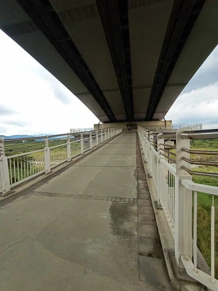 柳暗花明又一坡