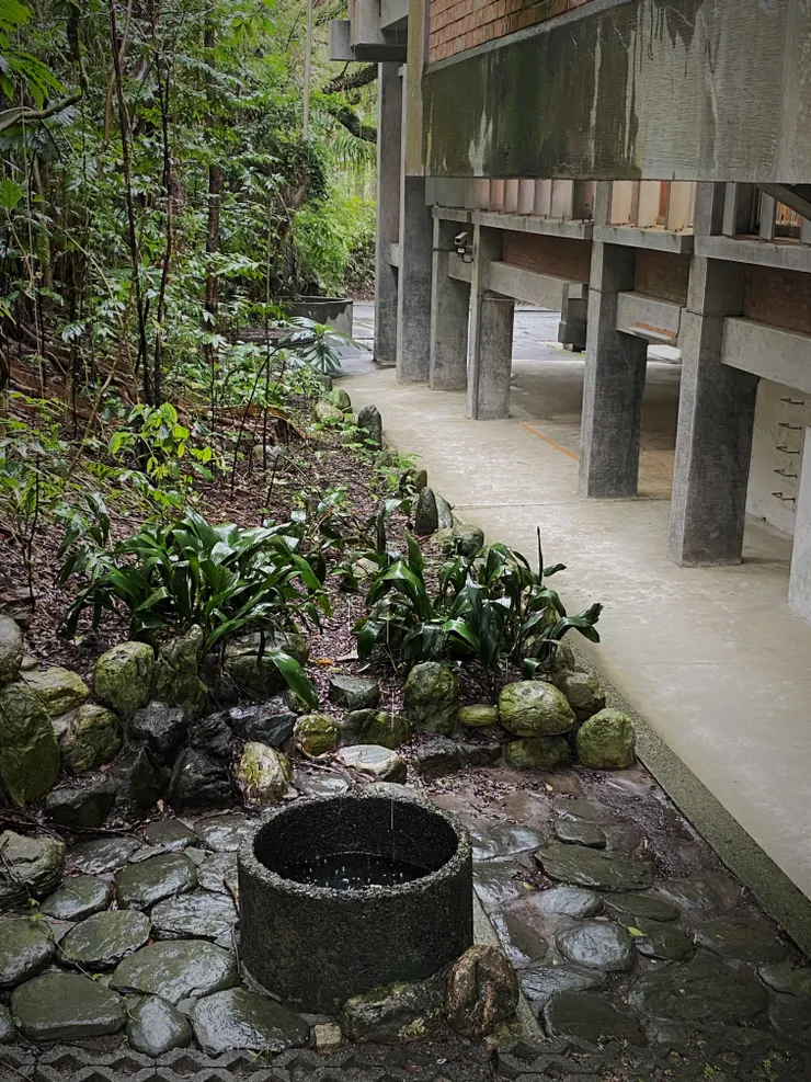 雨天來訪時，看到落水槽接水的情景