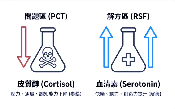 讓大腦停止釋放皮質醇,改為釋放多巴胺