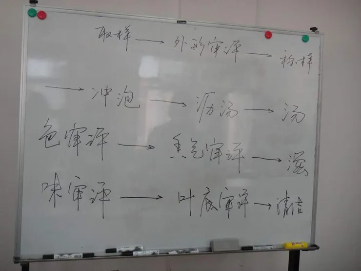 茶葉專業評審流程