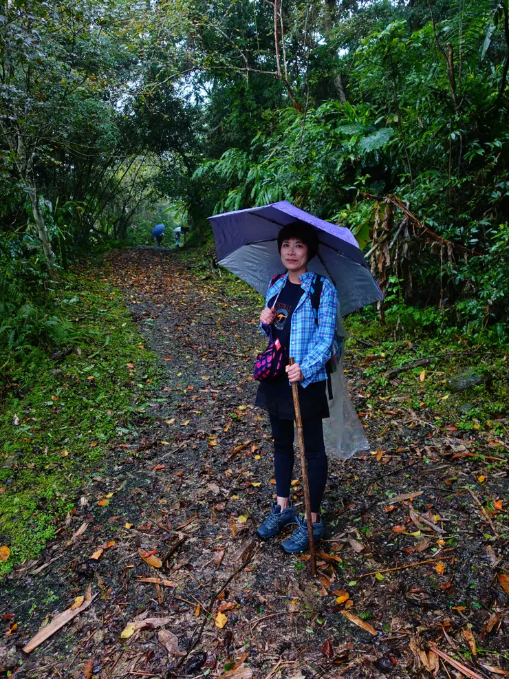 撿根樹枝充當手杖
