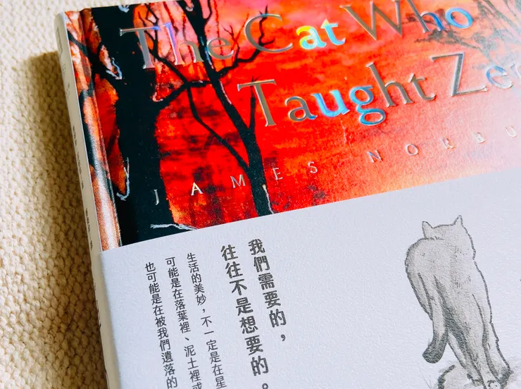 在沉默中自處,體驗自然的寶貴,秉持正念且尋求祥和