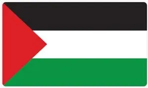 巴勒斯坦國旗