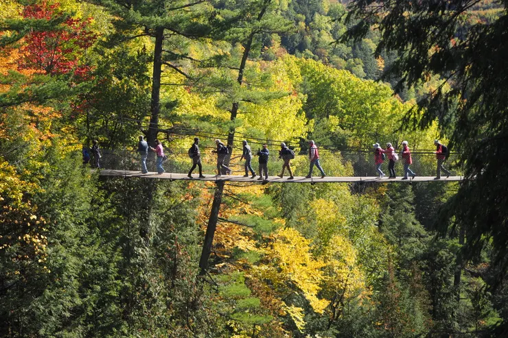 麥克尼科爾吊橋 (Mc Nicoll Bridge)
