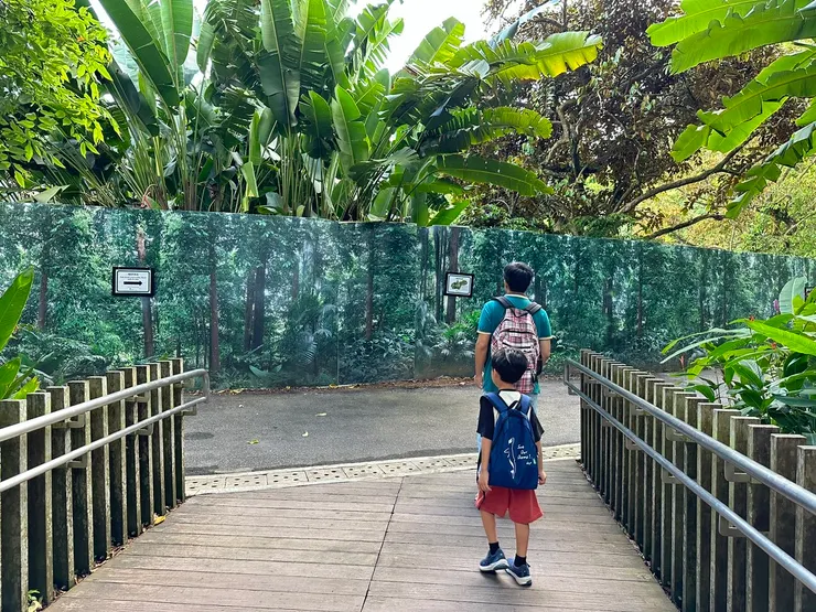 遊樂設施預計整修至2024年底