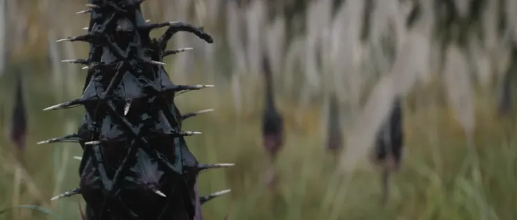 荒蕪的地表，處處都是考驗他的陷阱。