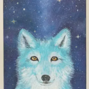 tisainthelight的沙龍