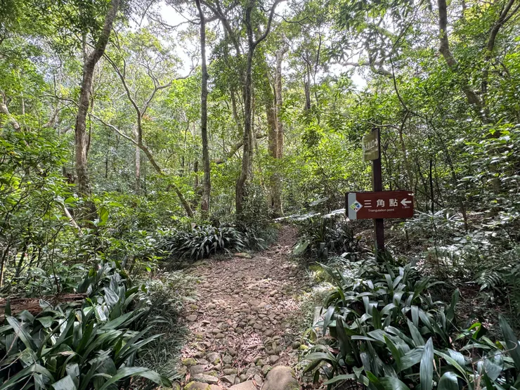 往三角點的路上還有一處休憩區