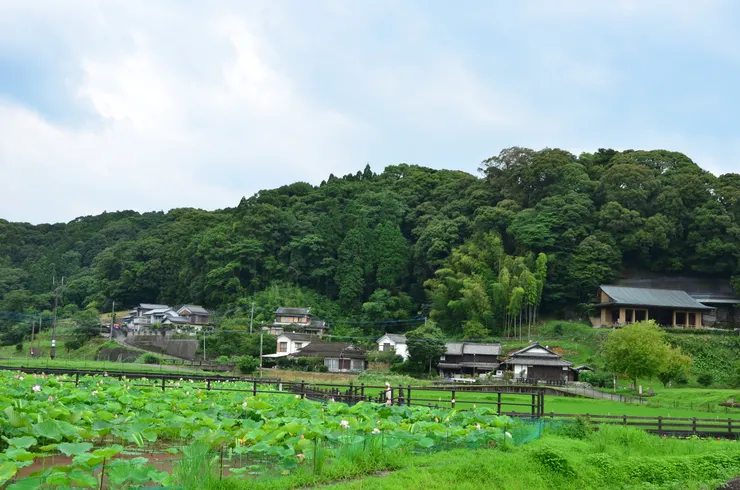 臼杵石佛和民居融為一體