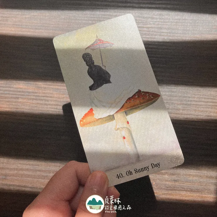 神秘時刻—Oh Sunny Day!