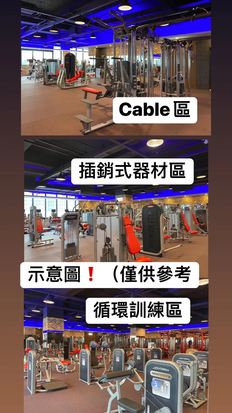 國外頂級進口器材(Hammer/Life Fitness/Gym80/Gymleco/ELEIKO/PANATTA 等)