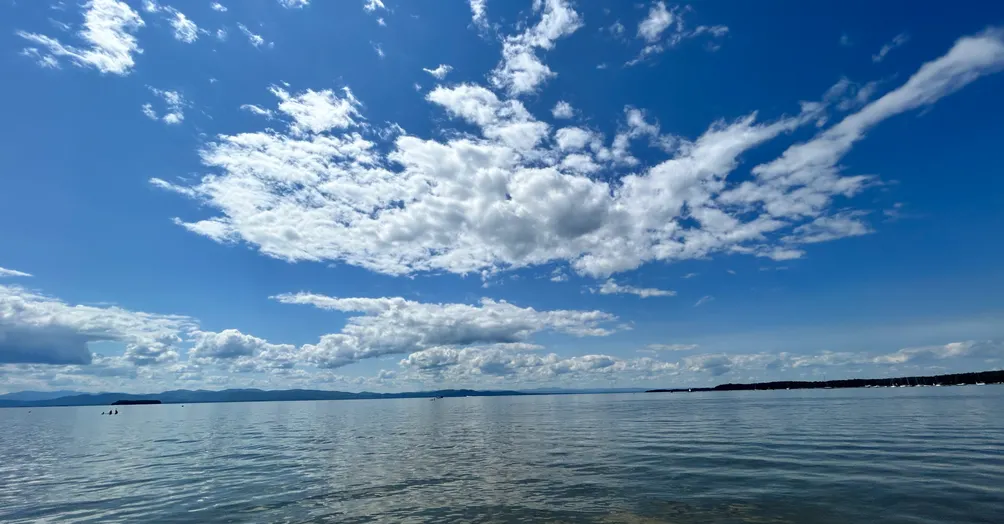 張護理師的沙龍