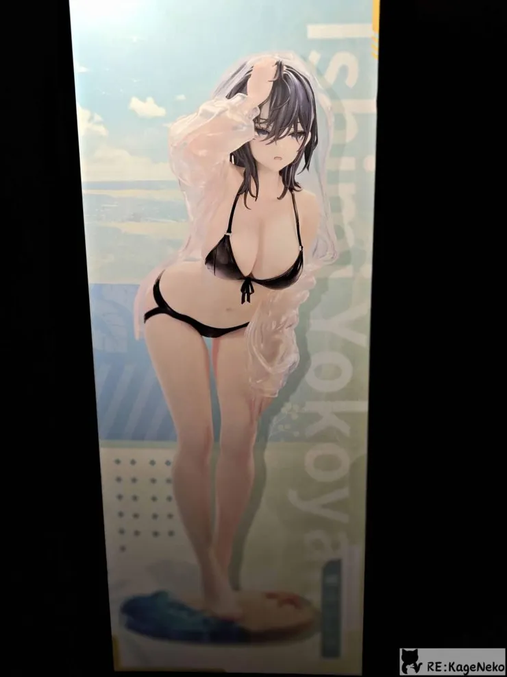 橫山石見 夏鳴回響