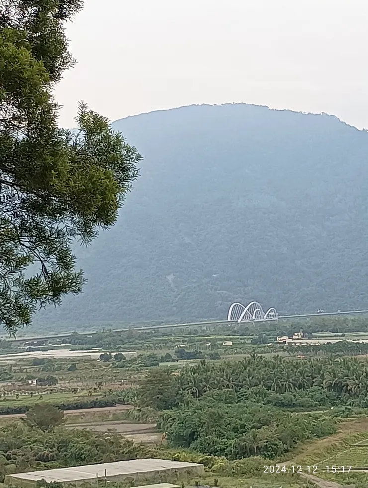 新威苗圃森林眺望新威大橋，自拍攝