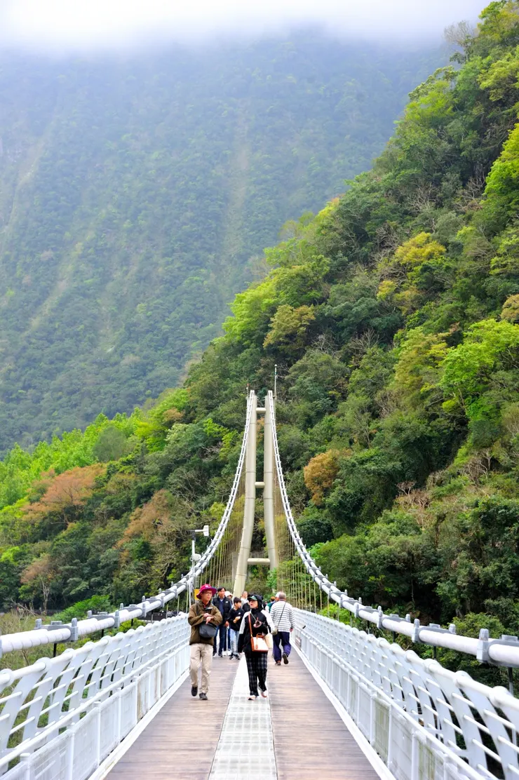 【山月吊橋返程】